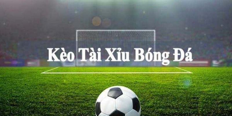 Thông tin đầu tư vào kèo tài xỉu bóng đá chi tiết