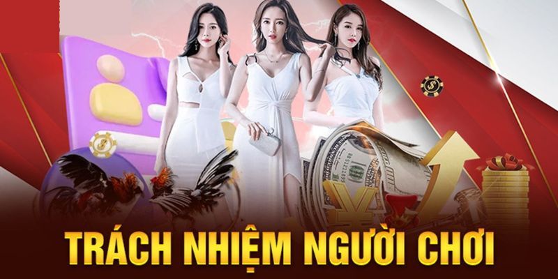 Thông tin chung về trách nhiệm người chơi 500ae quan trọng hiện nay